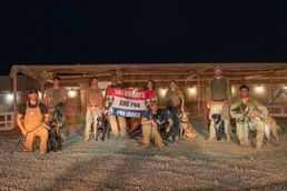 Camp Lemonnier dog handler teams train together