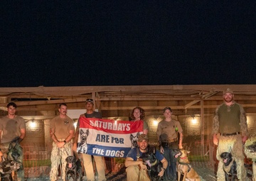 Camp Lemonnier dog handler teams train together