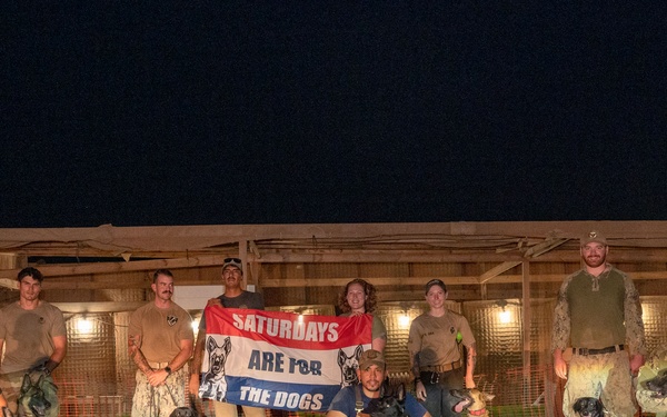 Camp Lemonnier dog handler teams train together