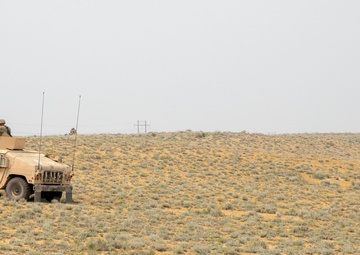 Delta Company Strengthens Combat Readiness with Rigorous Training Exercises