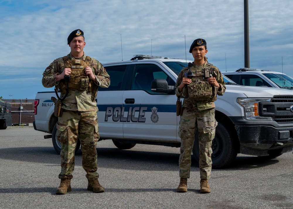 Eielson, USFWS first responders rescue family from aggressive moose