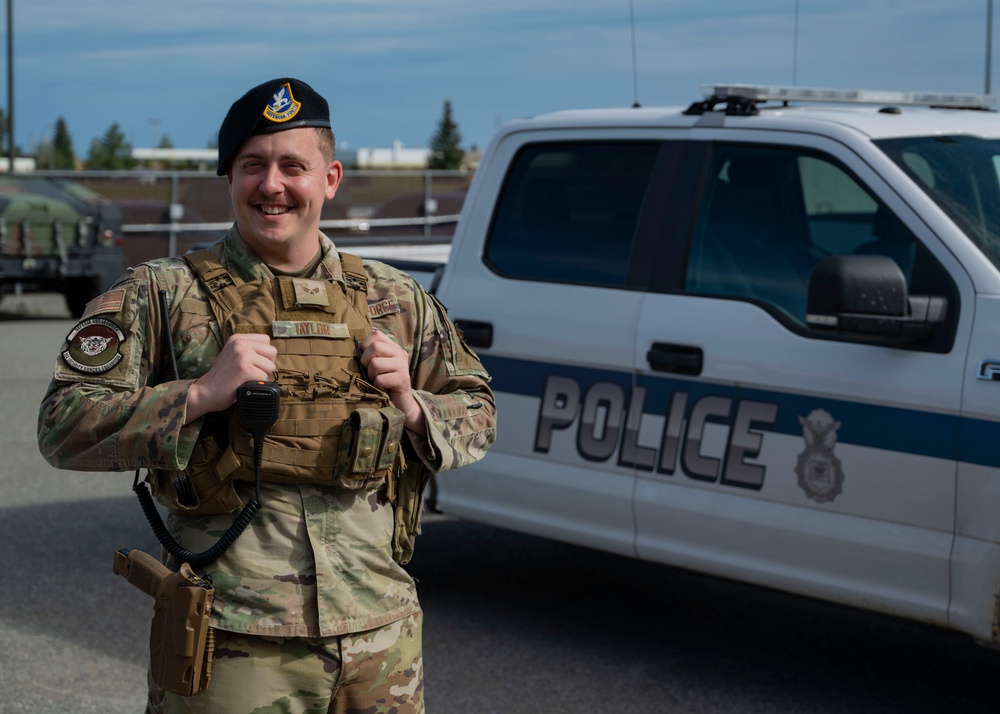 Eielson, USFWS first responders rescue family from aggressive moose