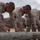 Lima Company Log drills