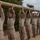 Lima Company Log drills