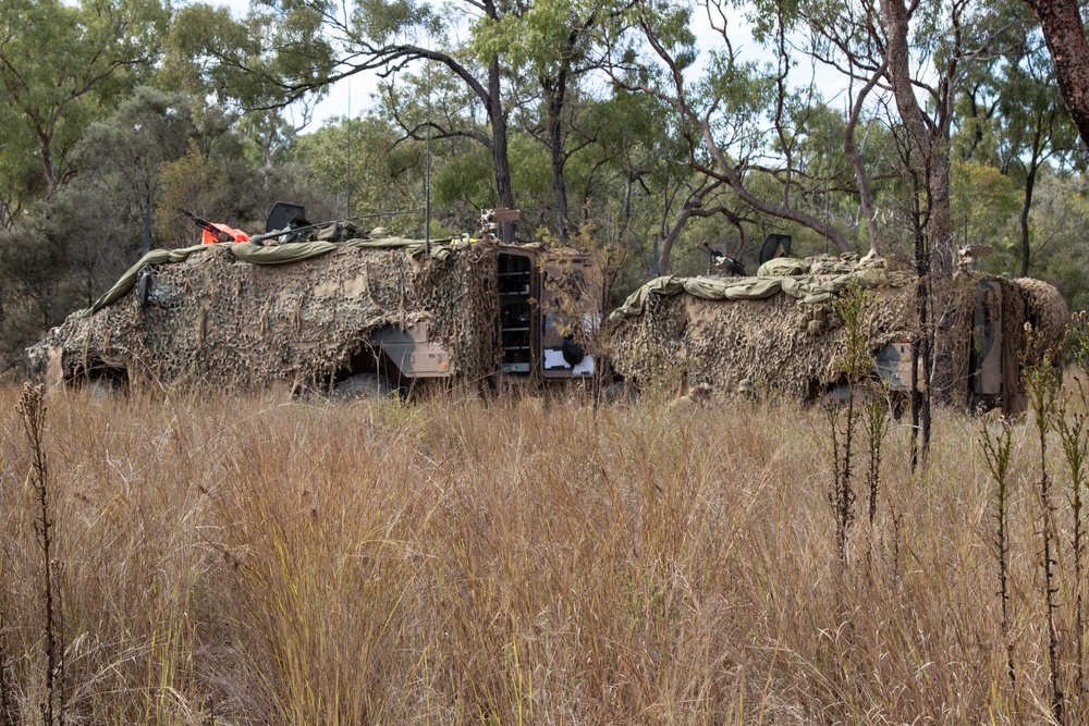 Soldiers conduct field maneuvers during Talisman Sabre 23