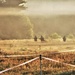 South Dakota National Guard’s 153rd Engineer Battalion's 2023 annual training at Fort McCoy