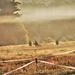 South Dakota National Guard’s 153rd Engineer Battalion's 2023 annual training at Fort McCoy