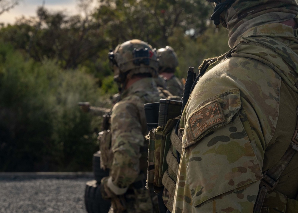 NSW, Australian Army conduct live fire training