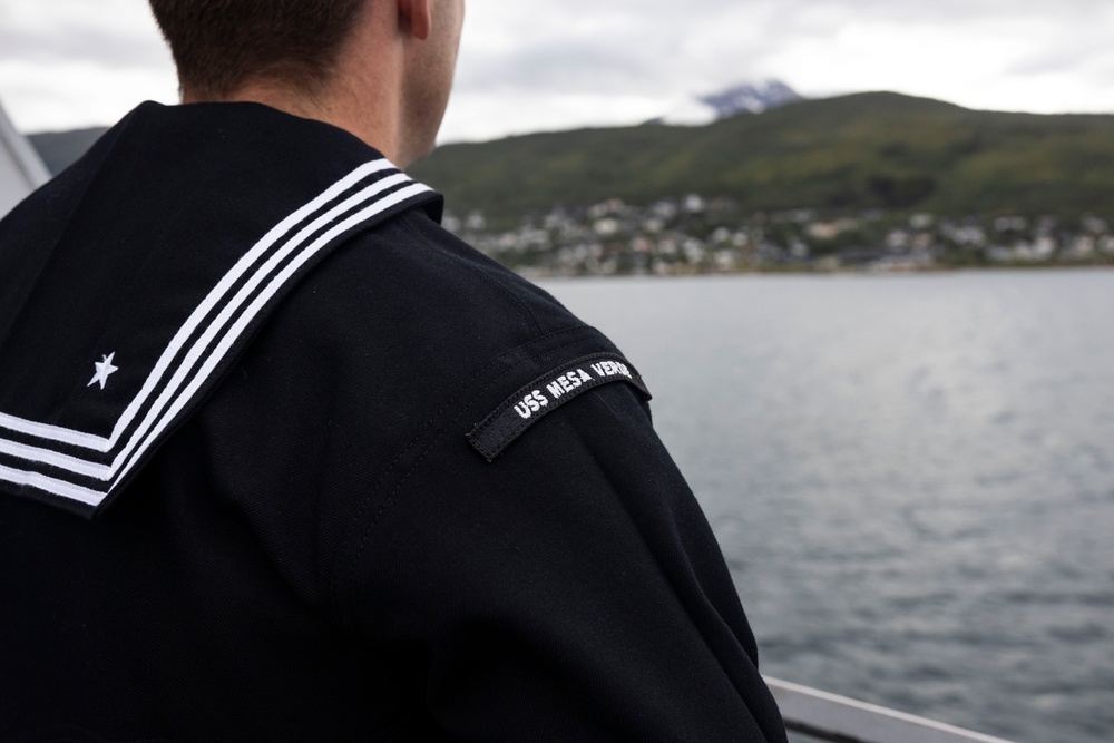 USS Mesa Verde (LPD-19) Arrives in Narvik, Norway