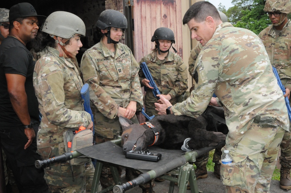 FORT DIX- MSTC trains with Advanced Canine Medical Trainer