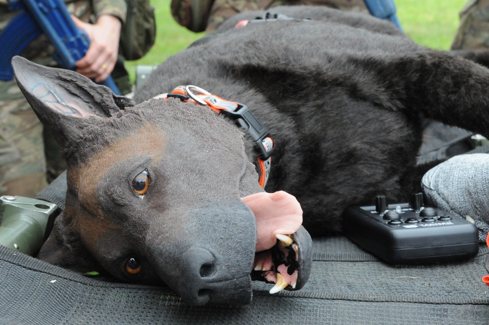 FORT DIX- MSTC trains with Advanced Canine Medical Trainer