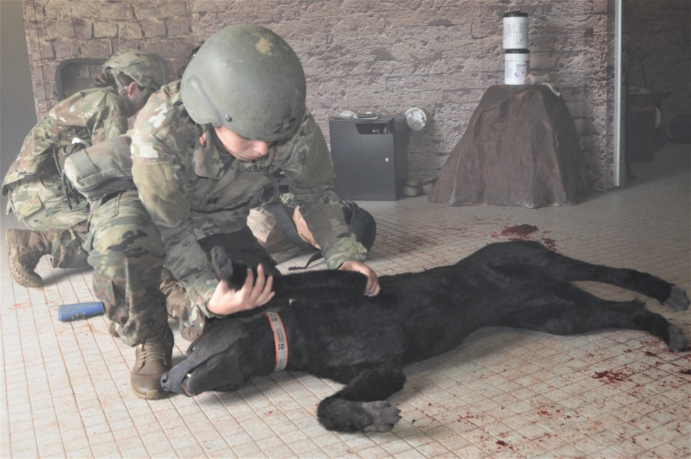 FORT DIX- MSTC trains with Advanced Canine Medical Trainer