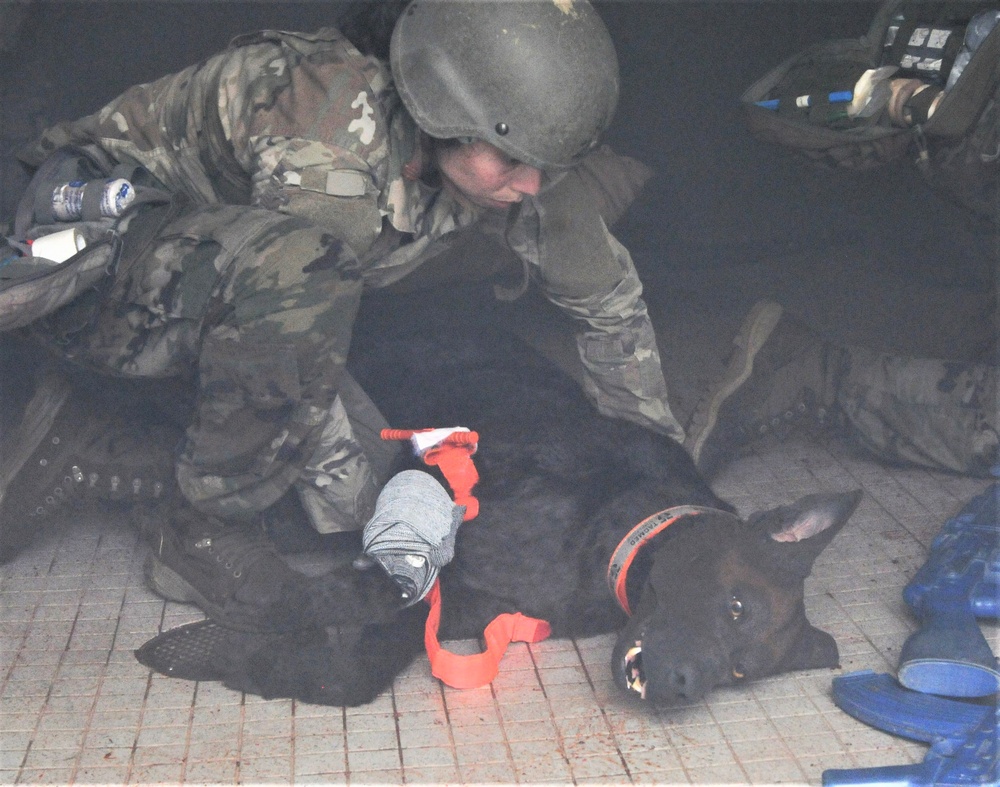 FORT DIX- MSTC trains with Advanced Canine Medical Trainer