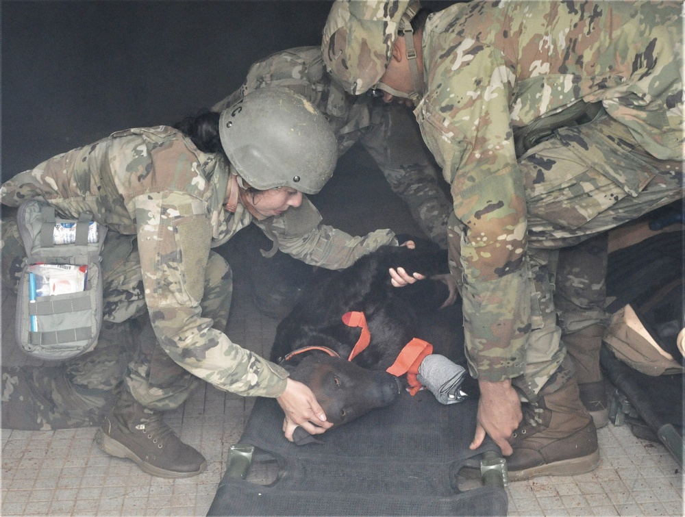 FORT DIX- MSTC trains with Advanced Canine Medical Trainer