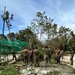 Marines Conduct Relief Efforts in Wake of Typhoon Egay