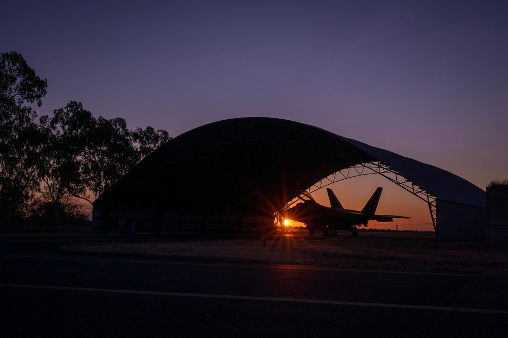 Hawaiian Raptors Soar into the Golden Horizons