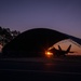 Hawaiian Raptors Soar into the Golden Horizons