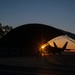 Hawaiian Raptors Soar into the Golden Horizons