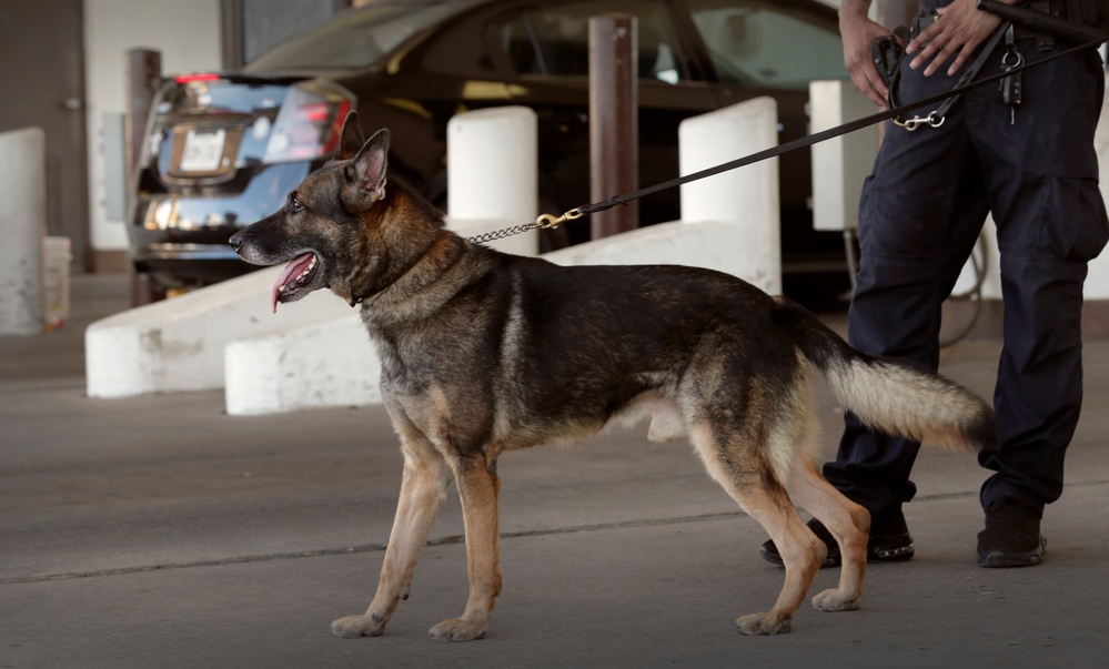 CBP officers conduct screening operations at Laredo POE