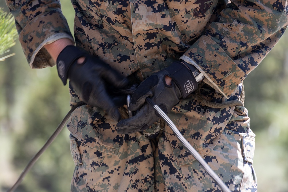 Mountain Medicine 1-23 conduct rappelling exercises