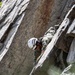 Mountain Medicine 1-23 conduct rappelling exercises