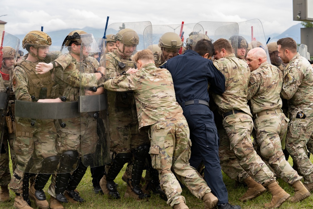 673rd SFS participates in riot-control training