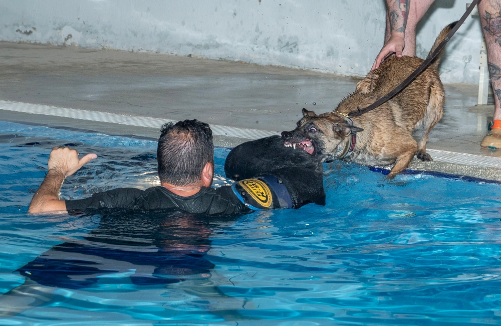 MWD water familiarization training at ADAB