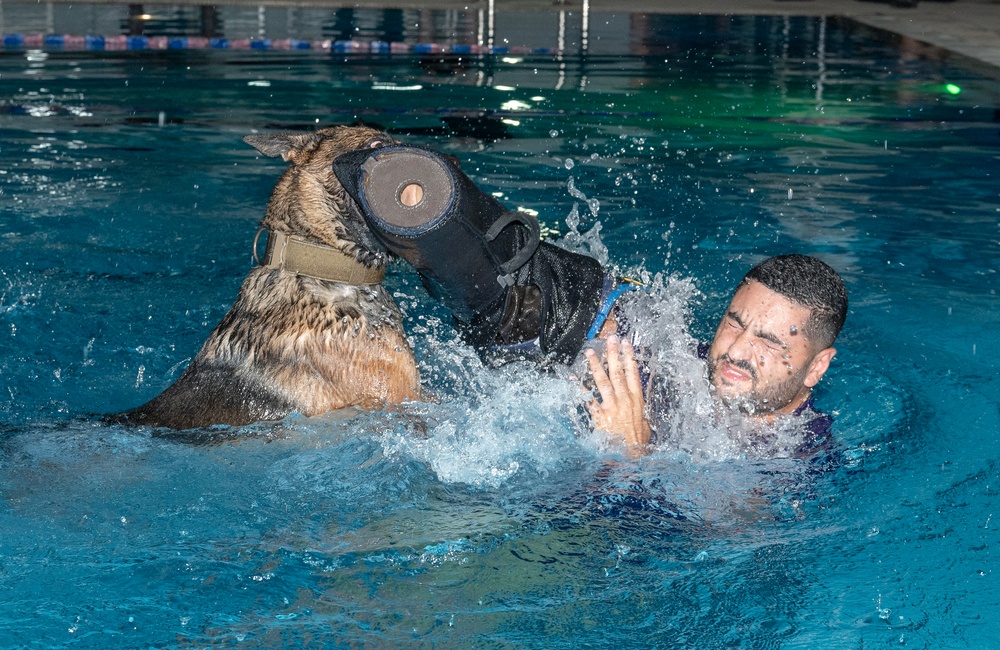 MWD water familiarization training at ADAB