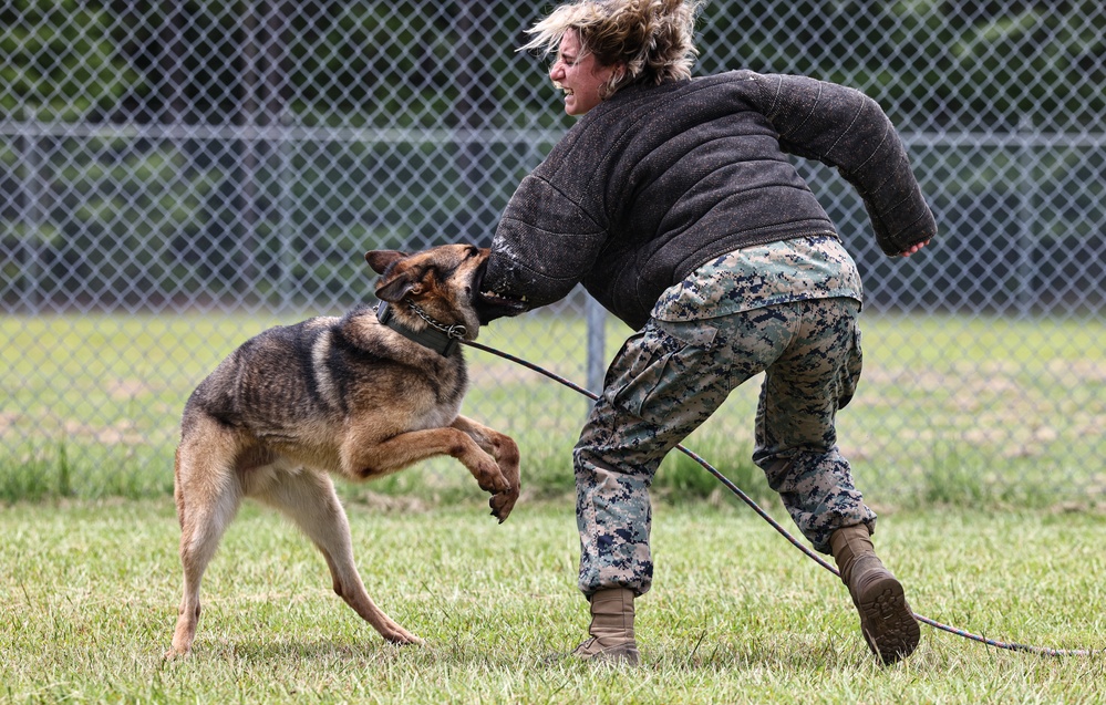 The Lopez Duo’s K-9 Partners in Crime… Management