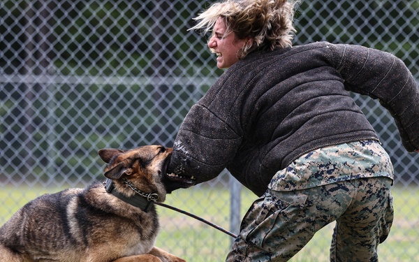 The Lopez Duo’s K-9 Partners in Crime… Management