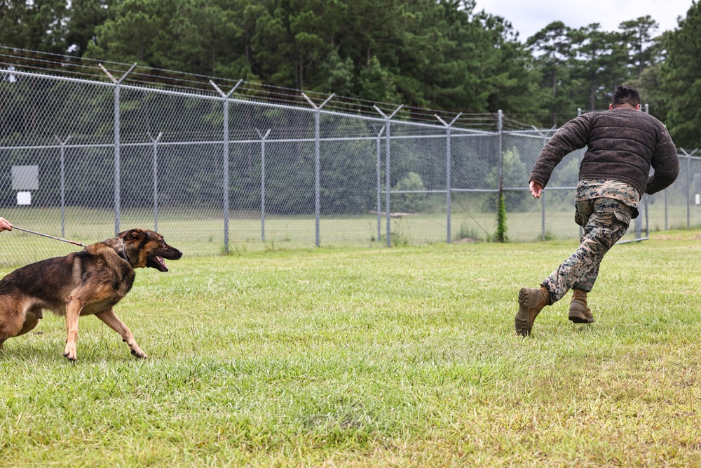 The Lopez Duo’s K-9 Partners in Crime… Management