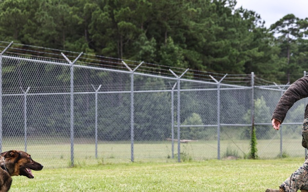 The Lopez Duo’s K-9 Partners in Crime… Management