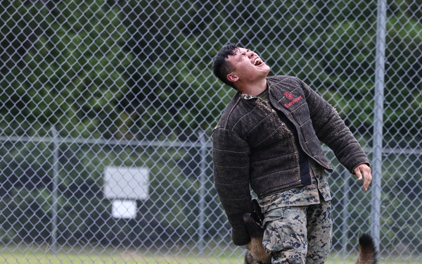 The Lopez Duo’s K-9 Partners in Crime… Management