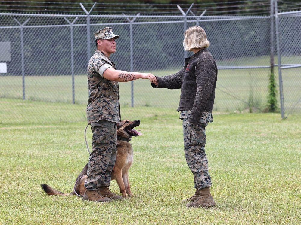 The Lopez Duo’s K-9 Partners in Crime… Management