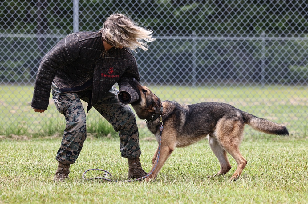 The Lopez Duo’s K-9 Partners in Crime… Management