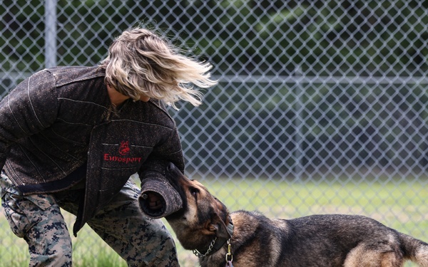 The Lopez Duo’s K-9 Partners in Crime… Management