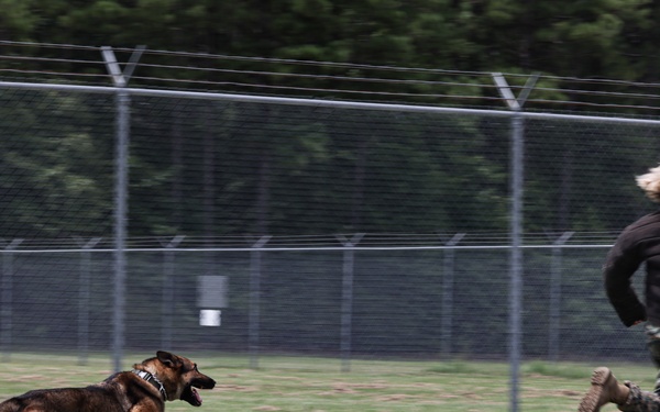 The Lopez Duo’s K-9 Partners in Crime… Management