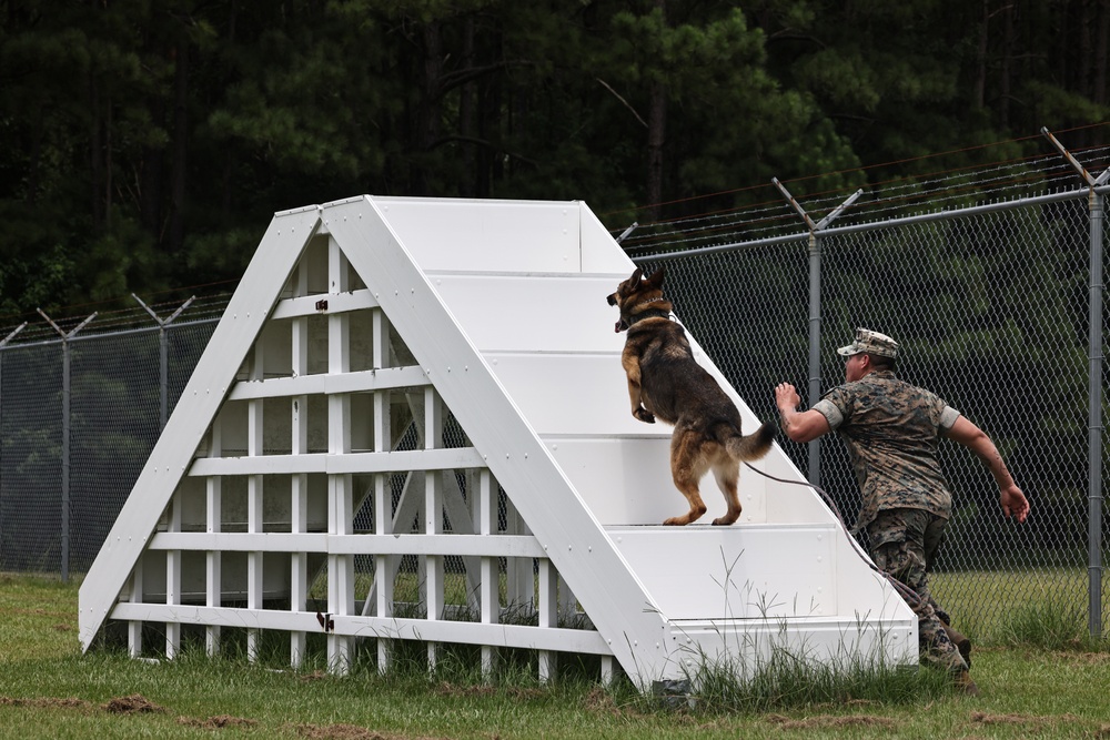 The Lopez Duo’s K-9 Partners in Crime… Management