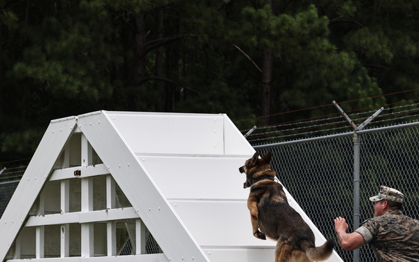 The Lopez Duo’s K-9 Partners in Crime… Management