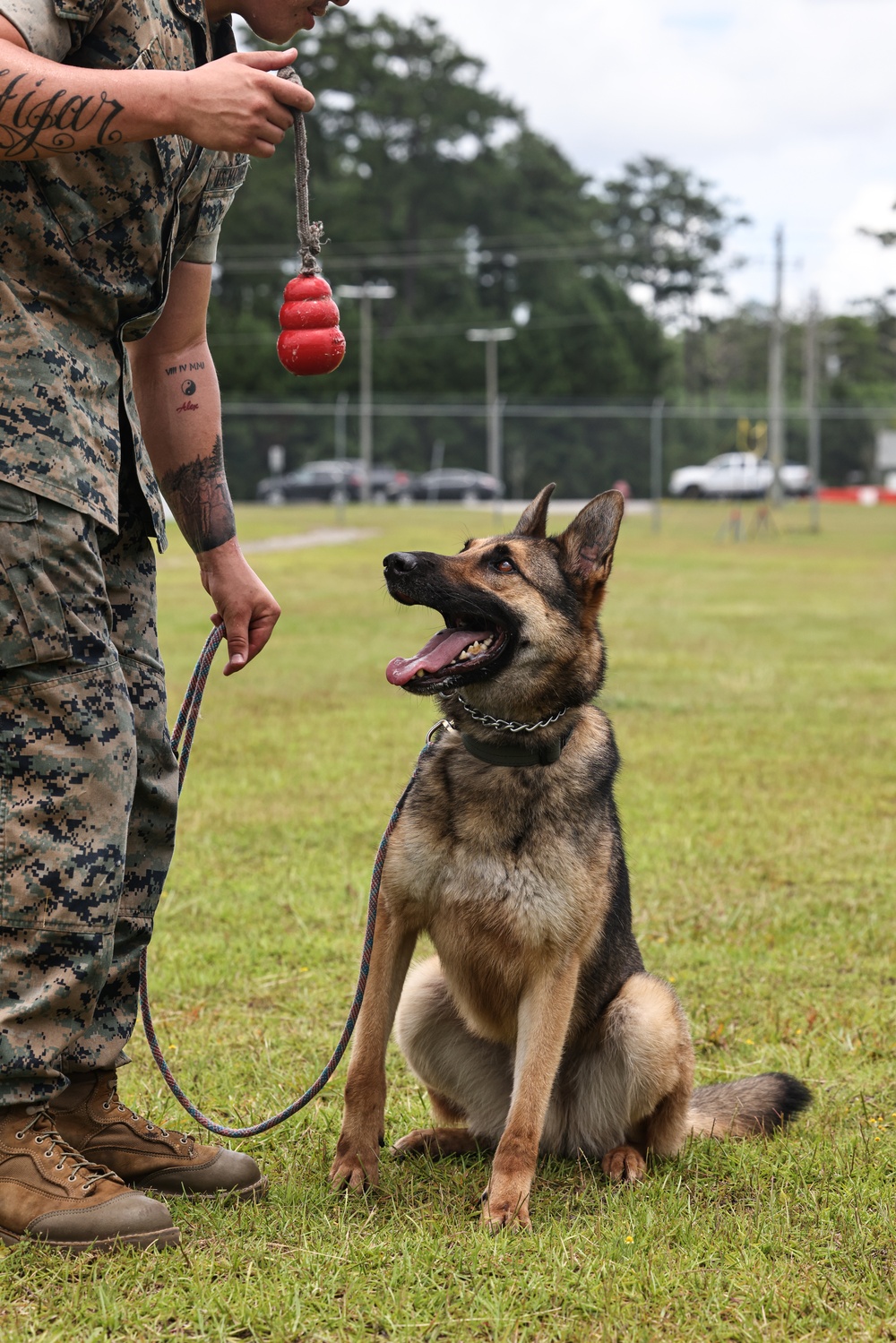 The Lopez Duo’s K-9 Partners in Crime… Management