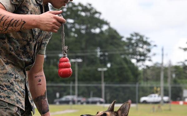 The Lopez Duo’s K-9 Partners in Crime… Management
