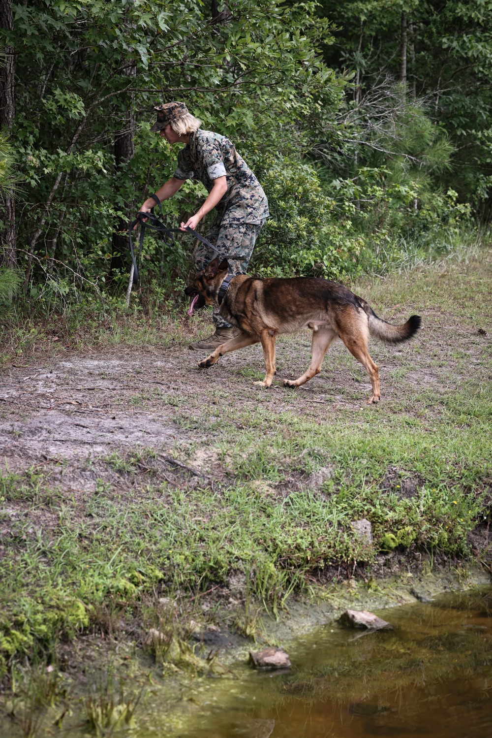 The Lopez Duo’s K-9 Partners in Crime… Management