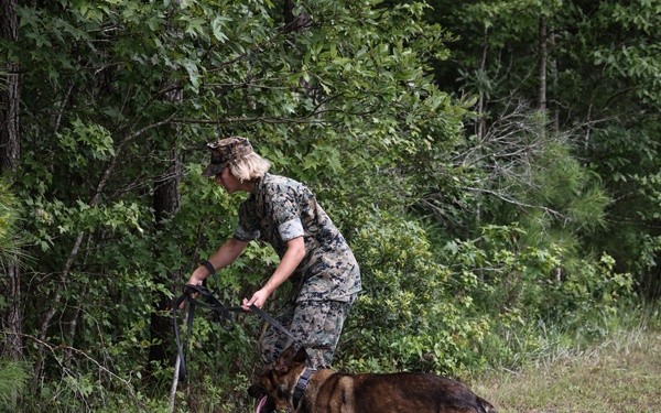 The Lopez Duo’s K-9 Partners in Crime… Management