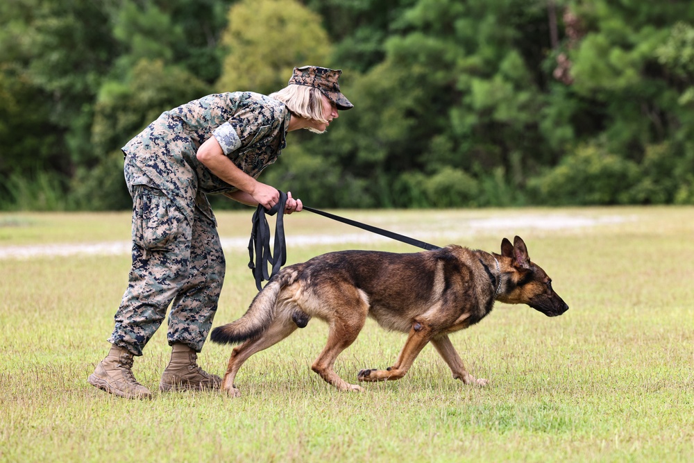 The Lopez Duo’s K-9 Partners in Crime… Management