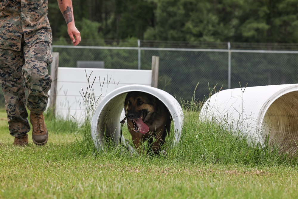 The Lopez Duo’s K-9 Partners in Crime… Management