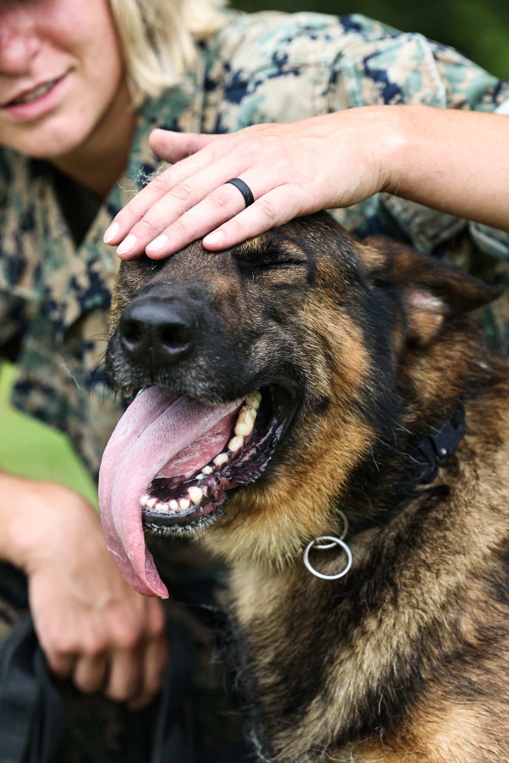 The Lopez Duo’s K-9 Partners in Crime… Management