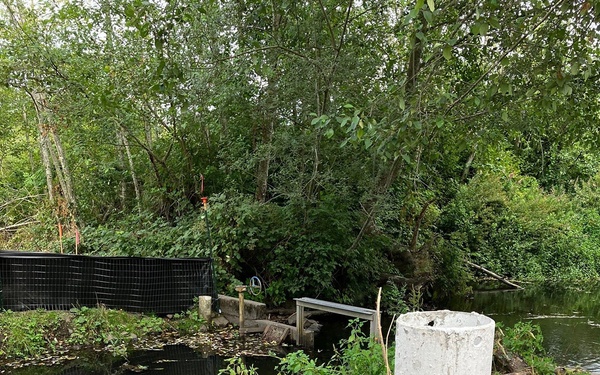 Mountlake Terrace Aquatic Ecosystem Restoration Project