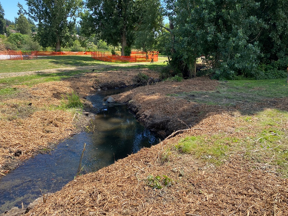 Mountlake Terrace Aquatic Ecosystem Restoration Project