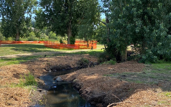 Mountlake Terrace Aquatic Ecosystem Restoration Project