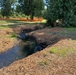 Mountlake Terrace Aquatic Ecosystem Restoration Project